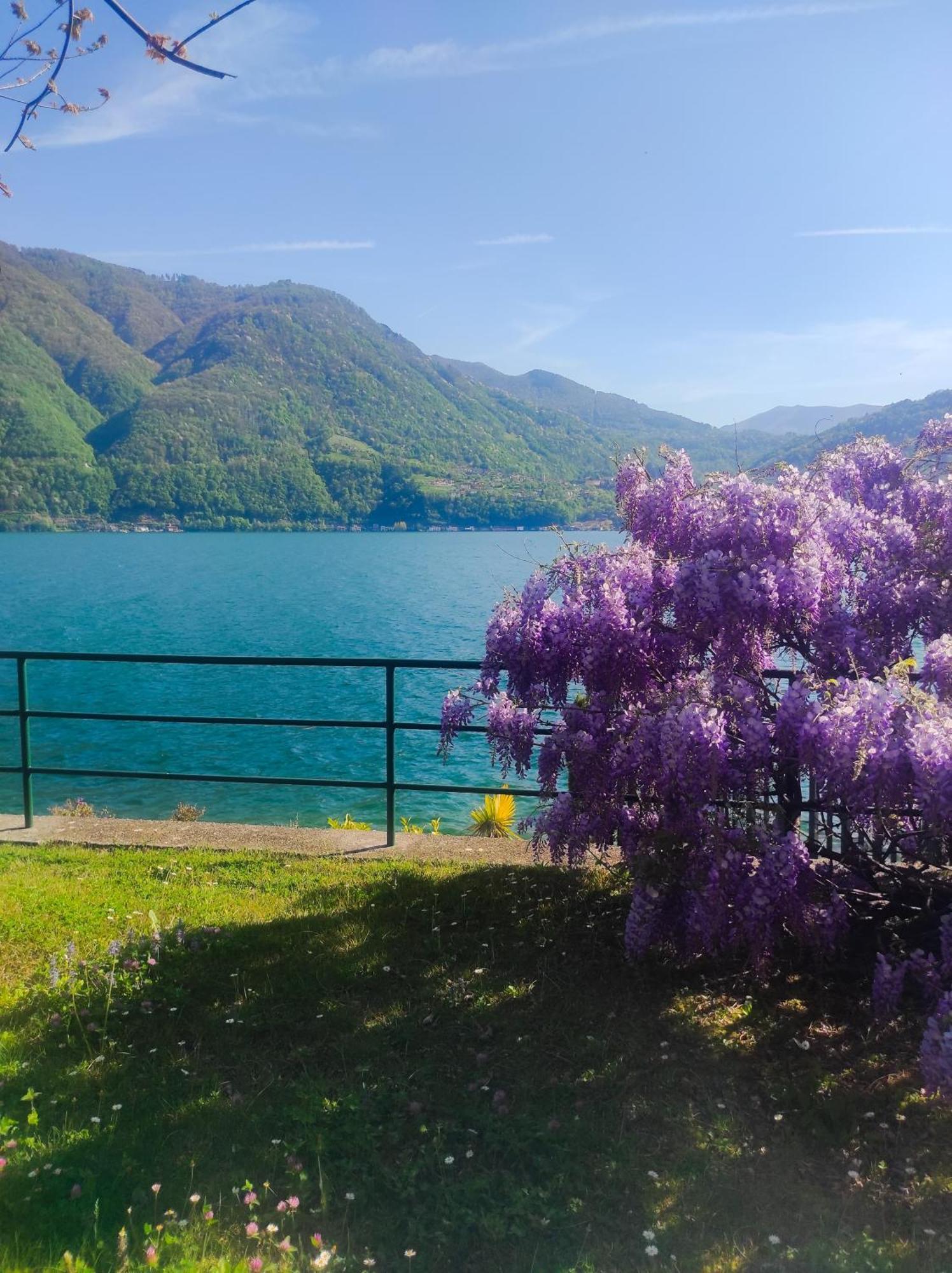 Lfsuite Luganolake Terrazza Spiaggia Privata Parking Wi-Fi Netflix Πορλέτσα Εξωτερικό φωτογραφία